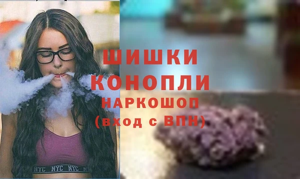 сатива Абдулино