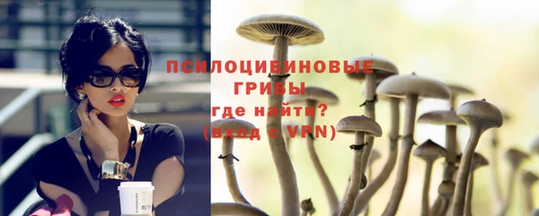сатива Абдулино