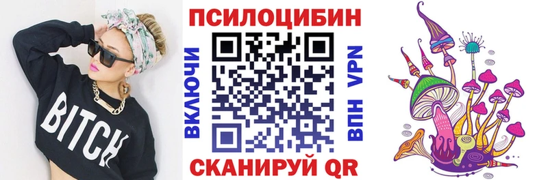 купить наркоту  Шимановск  OMG рабочий сайт  Галлюциногенные грибы прущие грибы 
